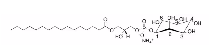 16:0 LYSO PI ammonium salt 141553-69-7
